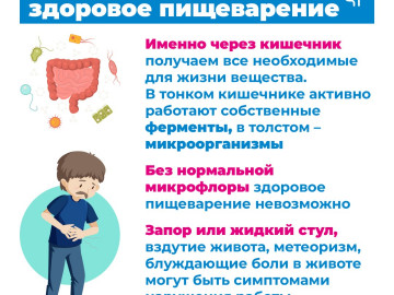 Кишечник4