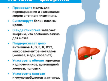 Печень карточки ВК (1)-2_page-0001