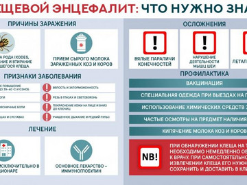 клещ