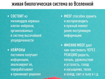 Карточки мозг_Страница_2