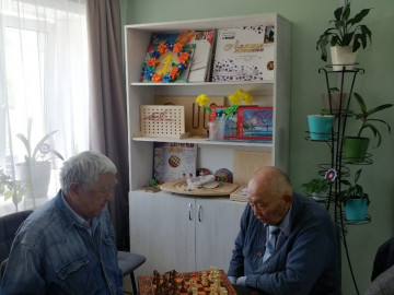 Шахматы